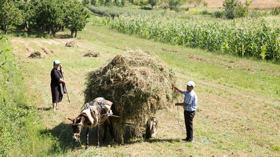 Αλβανία: Ο πληθωρισμός πλήττει τους πολίτες και τις αγροτικές επιχειρήσεις  